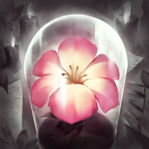 Profile Icon